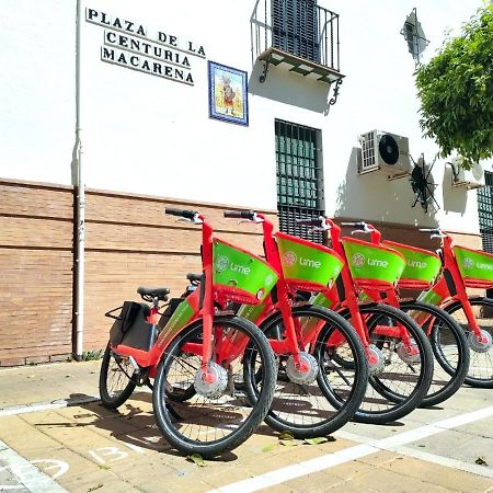 Apartamento Macarena, En El Centro De Sevilla 外观 照片
